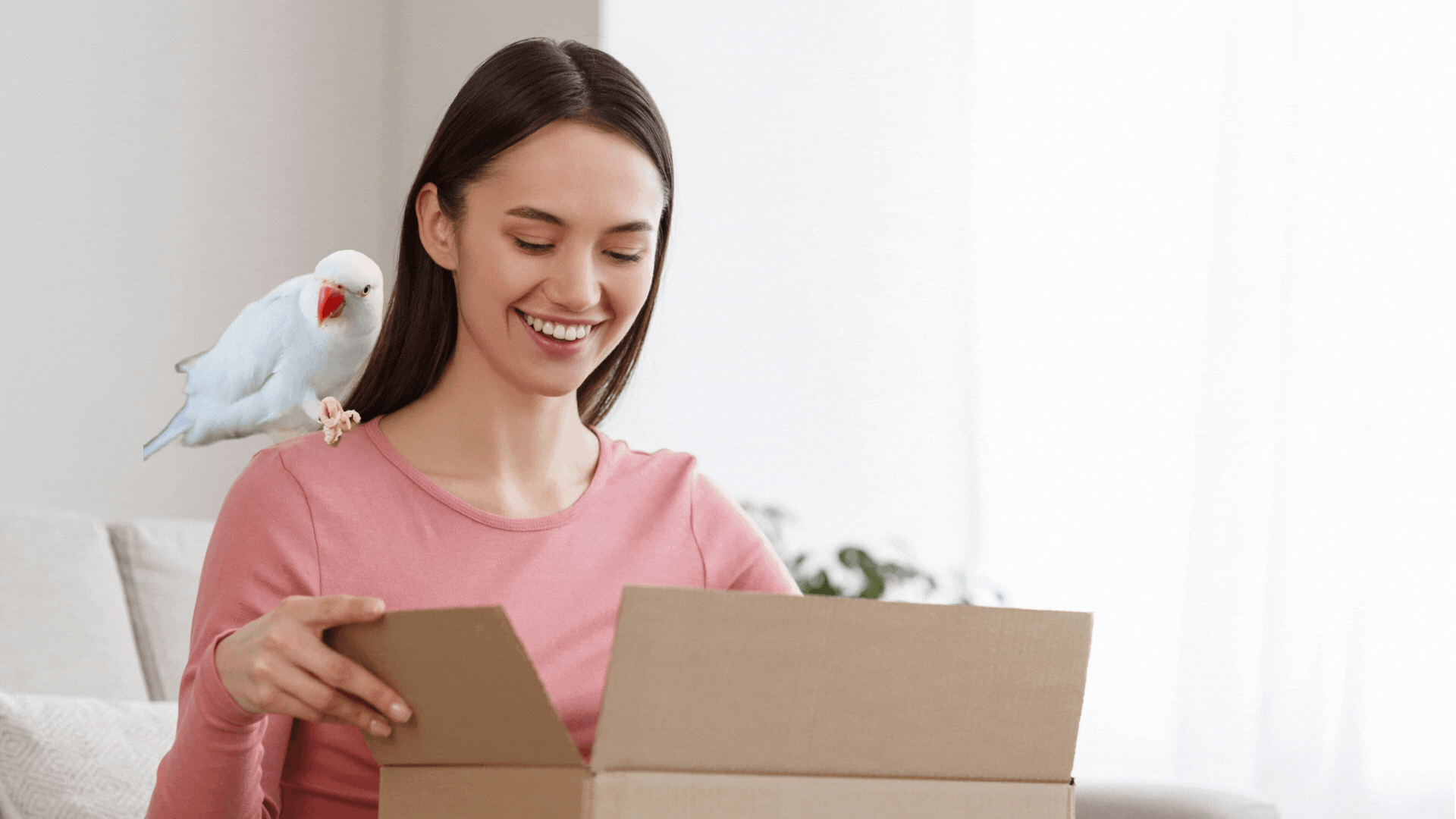 shipping policy