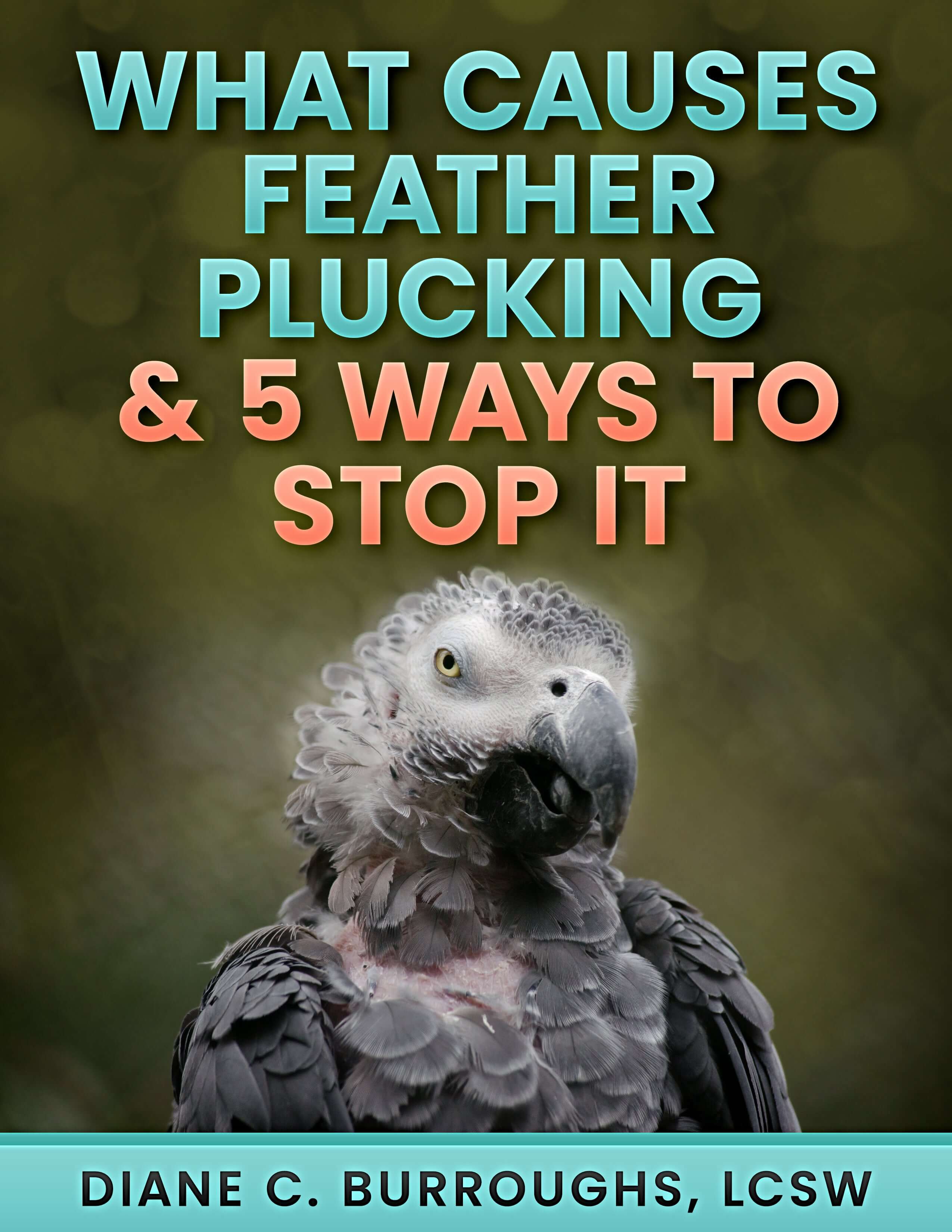 Home Remedies for Feather Plucking eBook – Instant Download for Natural Parrot Care