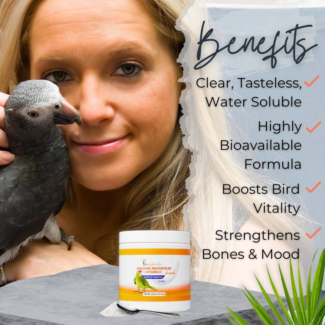 Bird Calcium Benefits