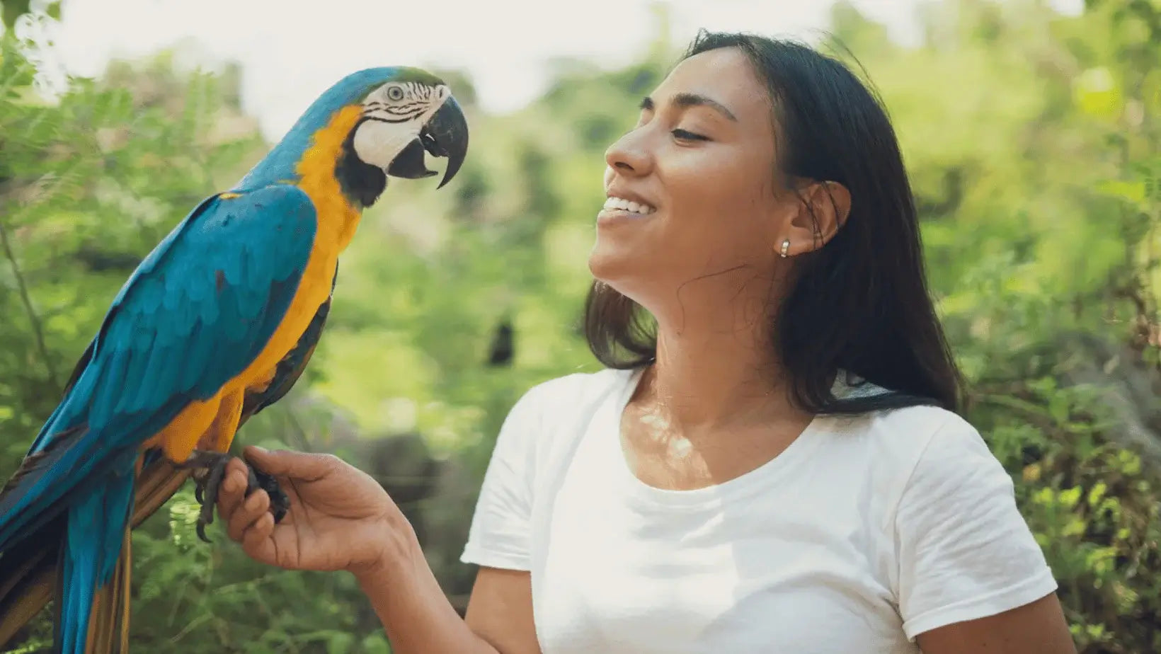 bird care