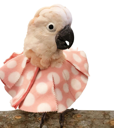 Velcro Closure Bird Collar