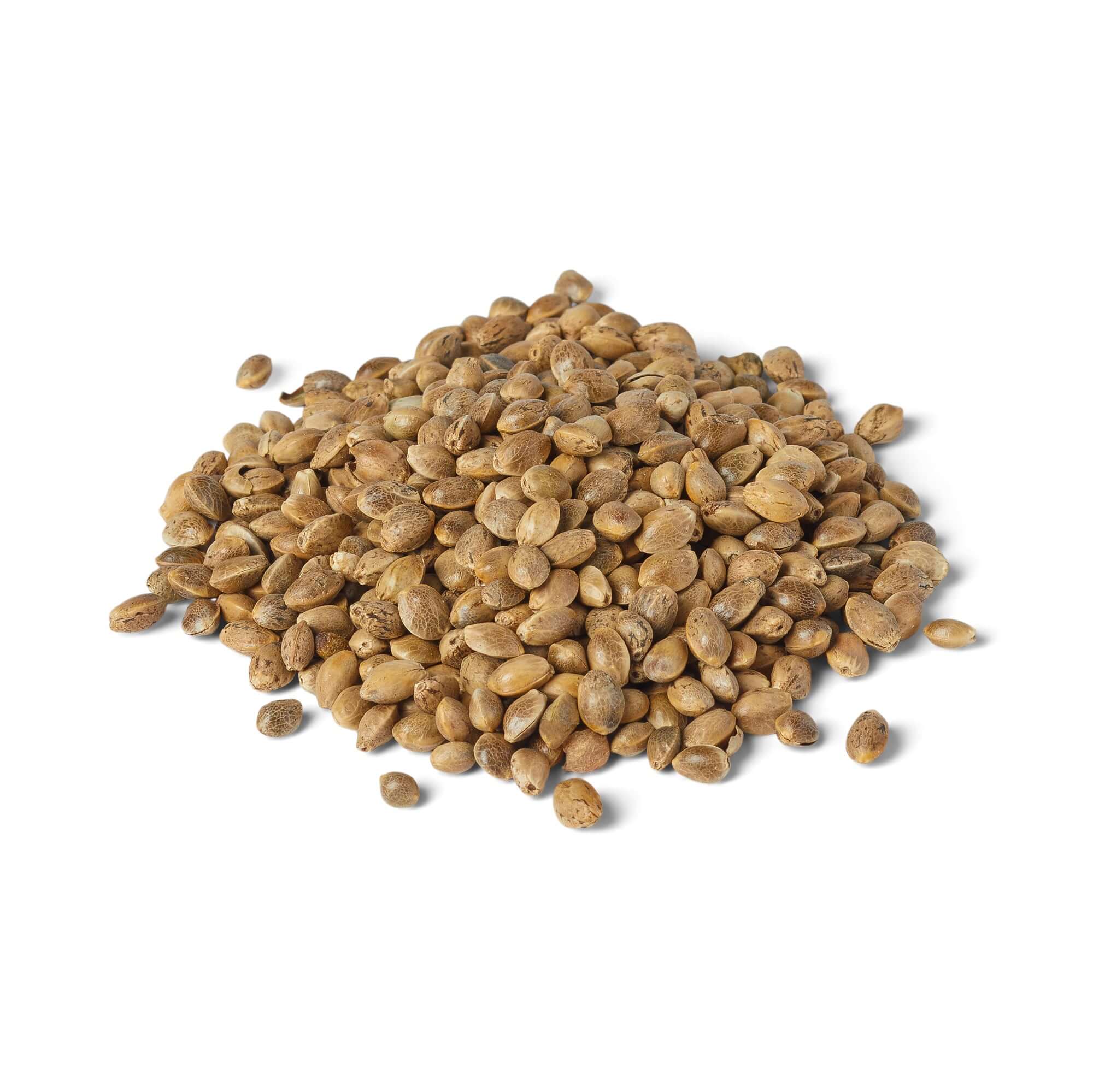 Hemp seeds for birds – supports skin health, immune function, and digestion
