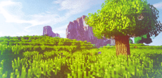 THE DOZA SMP