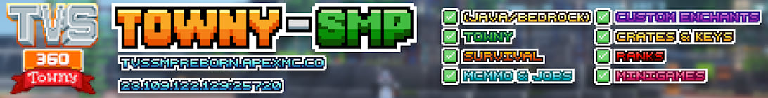 TVS 360 Minecraft Server