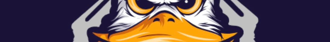 RecoilRickTwitch Survival Minecraft Server