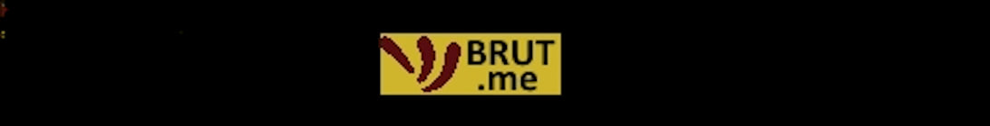 BRUTme MineCraft SURVIVAL Minecraft Server