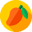 Mango Net