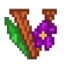 Valley of the Viola