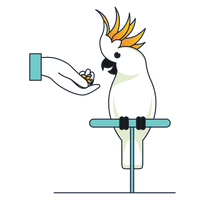 Bird Behavior