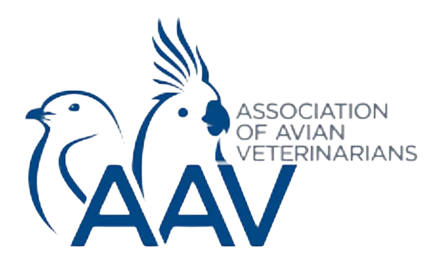 as seen in AAV.org