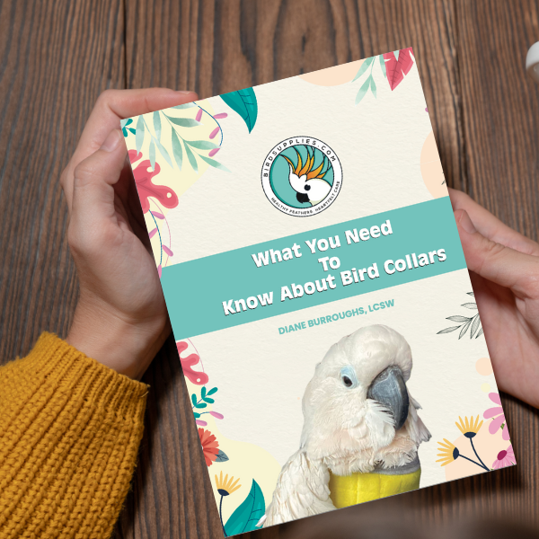 Soft yet sturdy bird collar to stop destructive chewing and self-injury