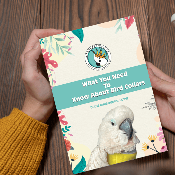 Free Bird Collar EBook for dowloads