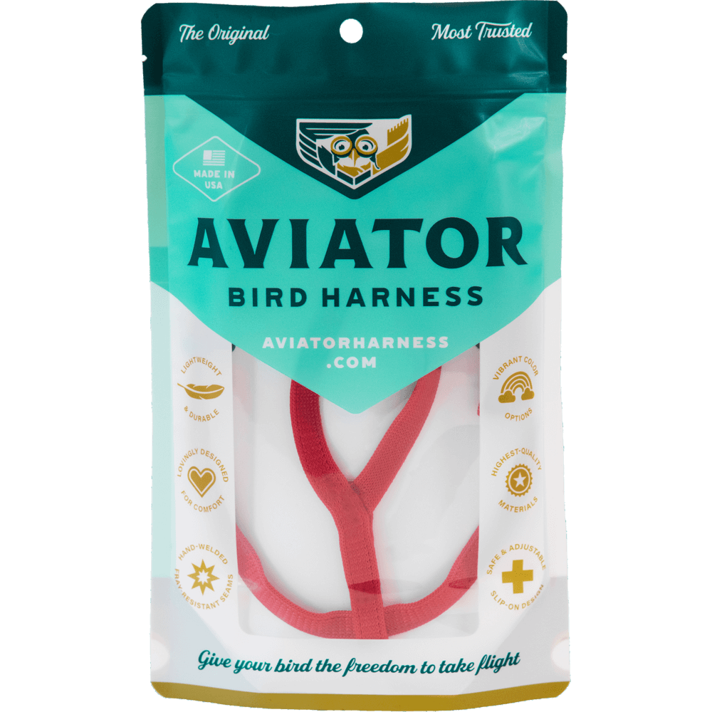 parrot harness