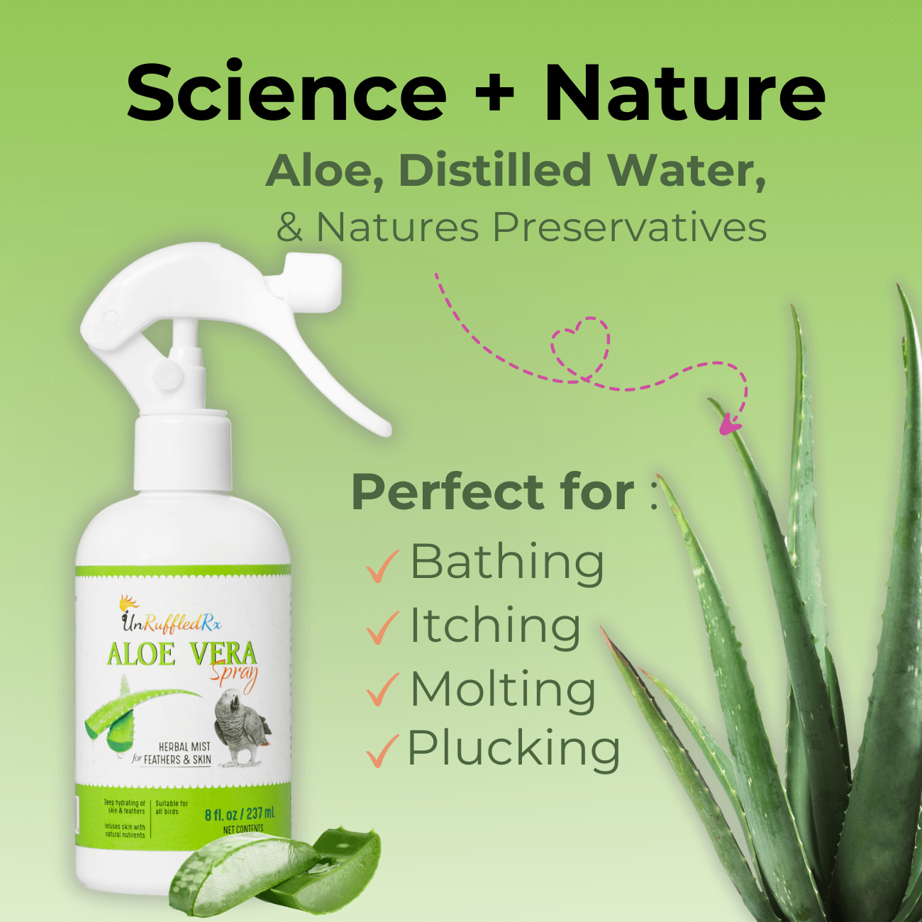 Using Aloe Vera Spray for Birds 