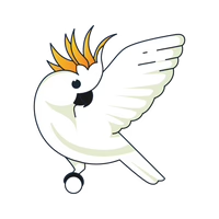 bird care