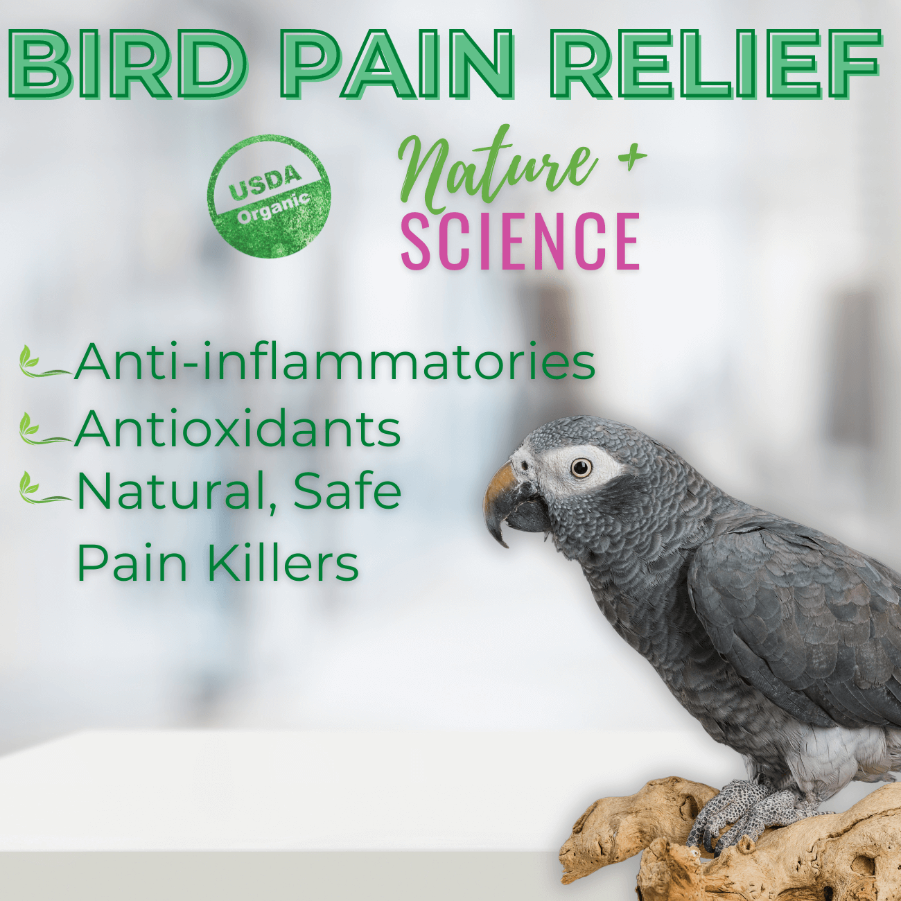 UnRuffledRx Bird Joint Support – Antioxidant-Rich Formula for Parrot Mobility