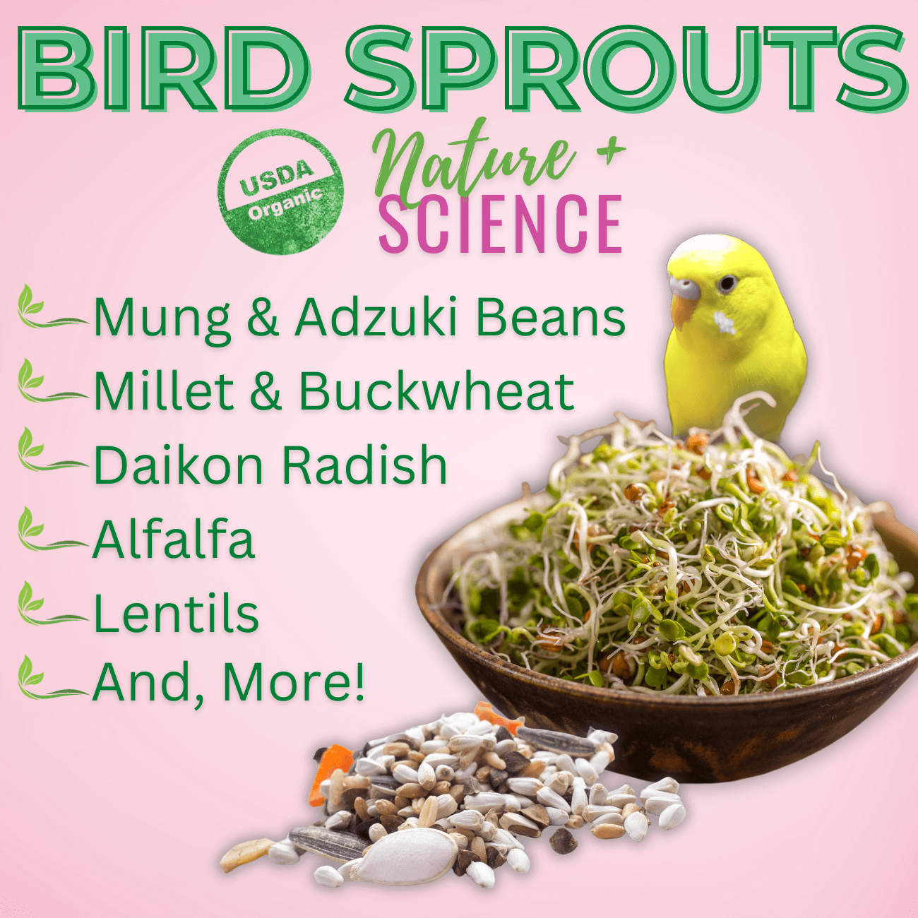 Bird Sprouting Seed Mix – Organic 13-Seed Blend for Fresh, Nutritious Sprouts