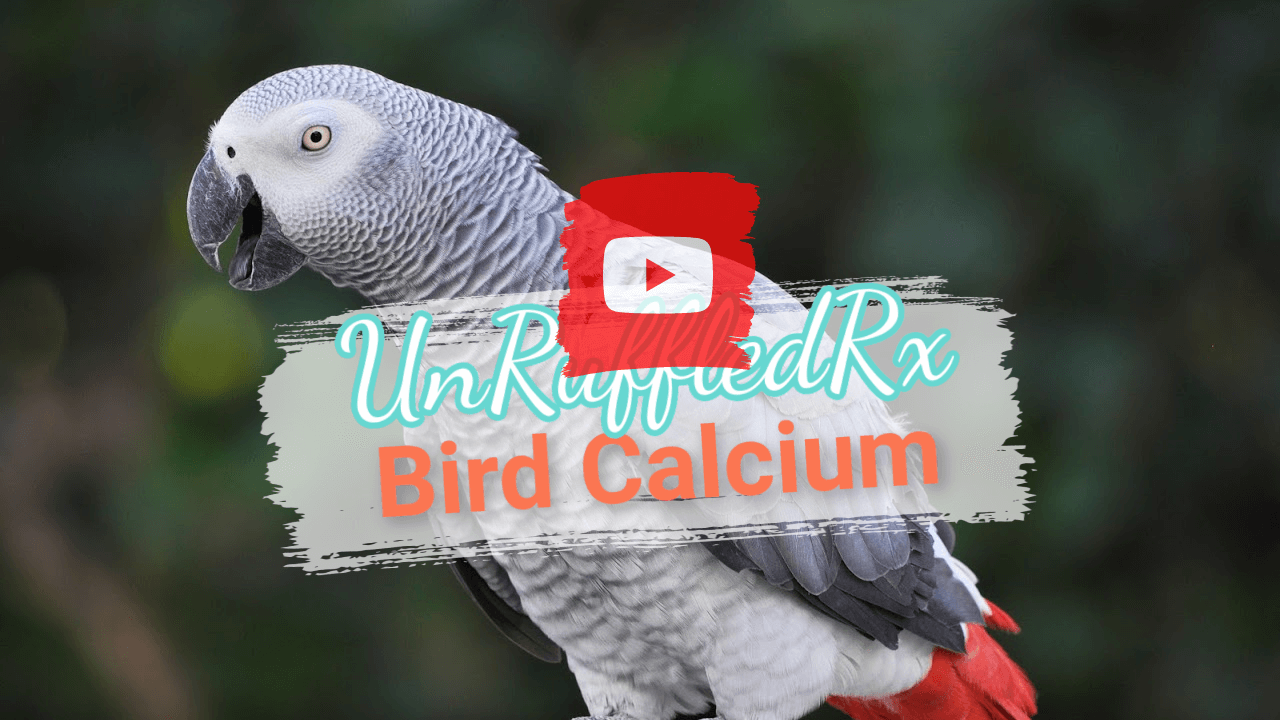 <iframe width="560" height="315" src=w4ghfxvxc58479e.html?si=2-LDPEg0B_QpaCAS%22 title="YouTube video player" frameborder="0" allow="accelerometer; autoplay; clipboard-write; encrypted-media; gyroscope; picture-in-picture; web-share" referrerpolicy="strict-origin-when-cross-origin" allowfullscreen></iframe>