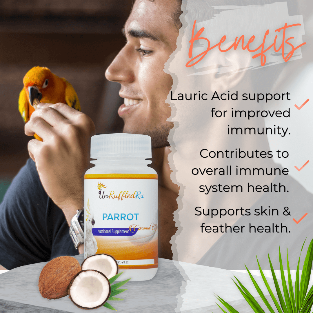Natural coconut oil for parrots – promotes glossy feathers and reduces dryness