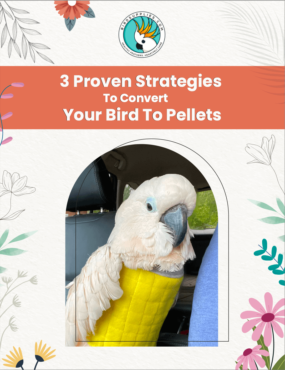 eBook on 3 evidence-backed methods to transition birds from a seed diet to pellets for better nutrition