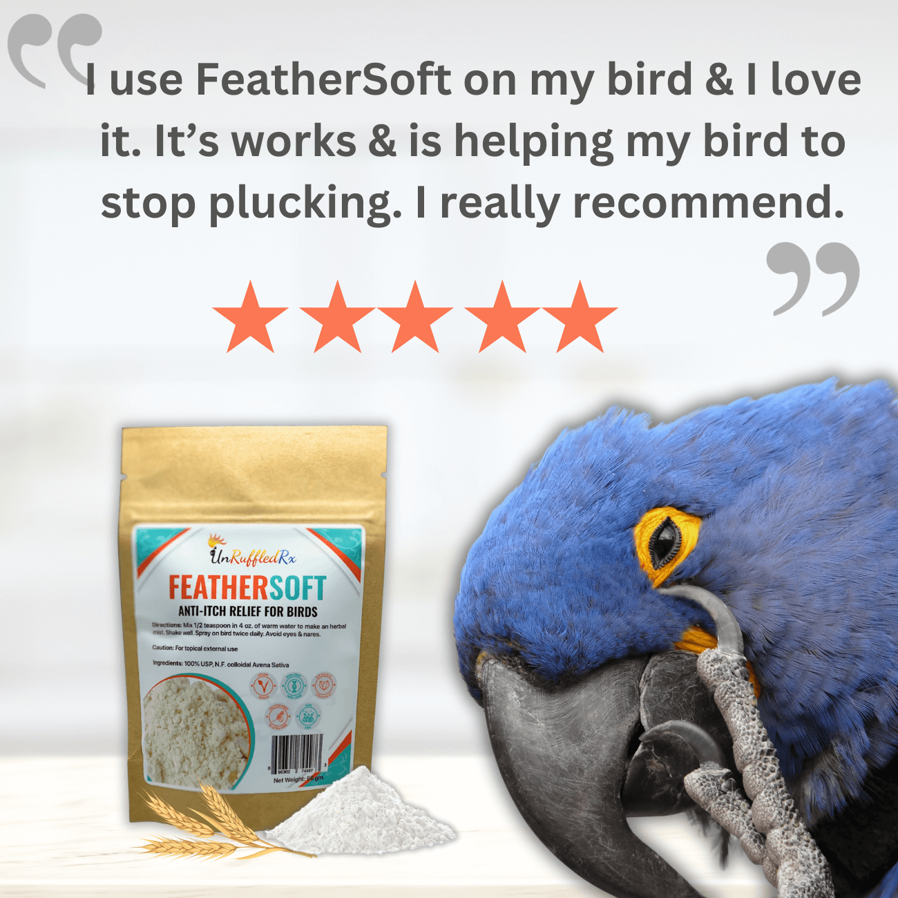 Oat-based bird skin relief – gentle, natural moisture-locking formula for parrots