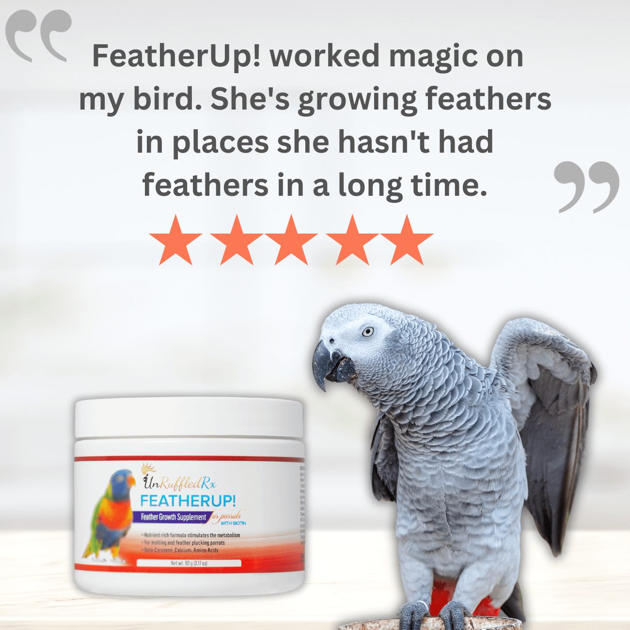 Complete bird vitamin supplement – supports immunity, skin, and feather health