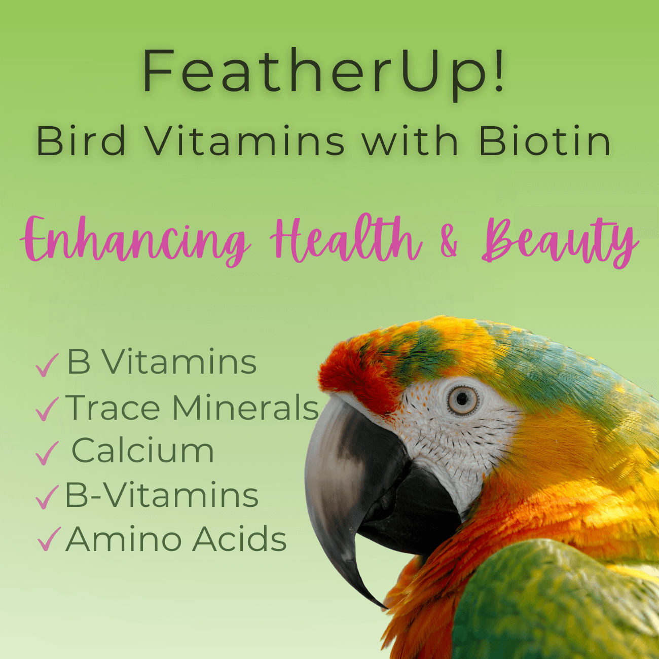 FeatherUp! bird wellness formula – vitamins for vibrant plumage and overall health