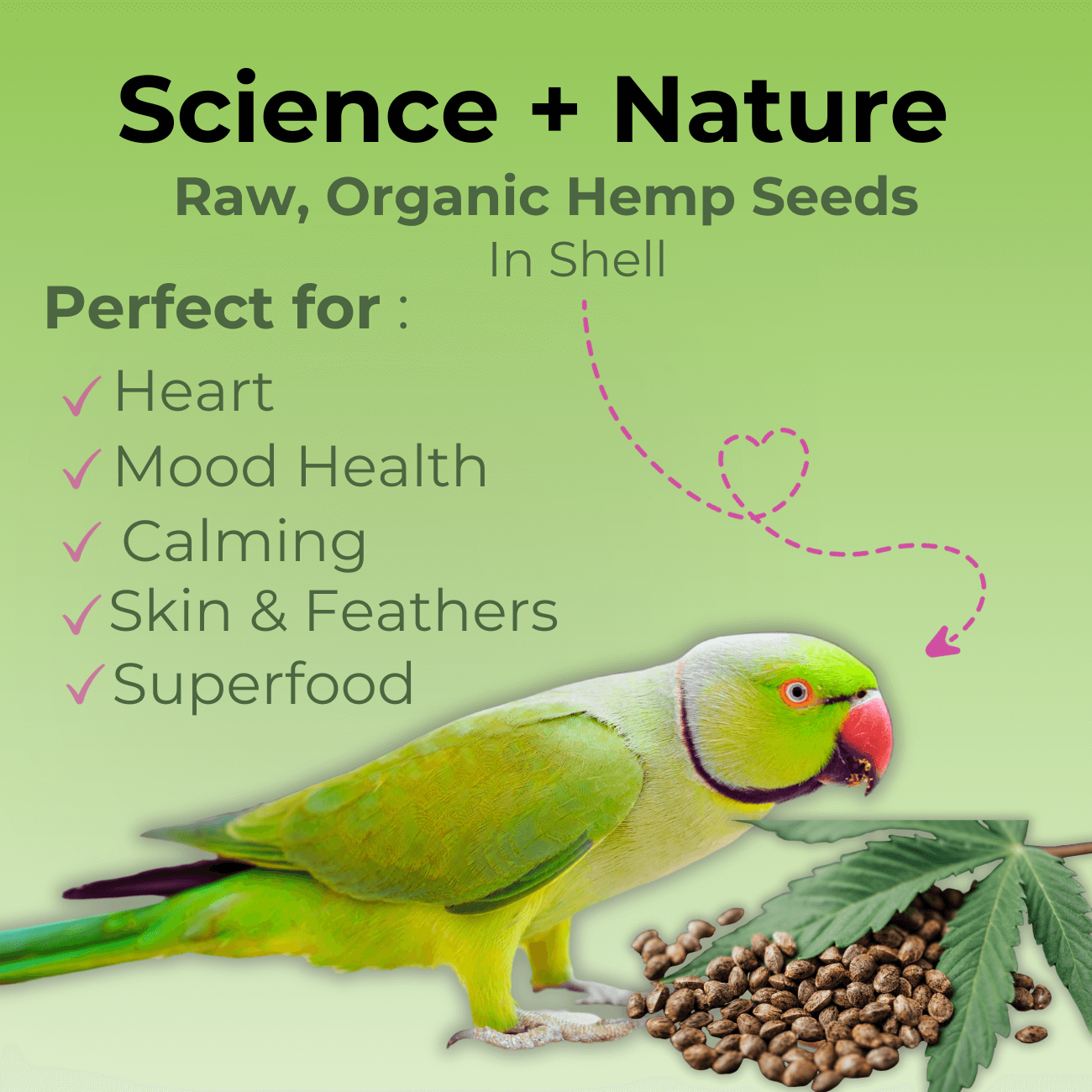 Nutritious hemp seeds for parrots – natural protein and essential vitamins