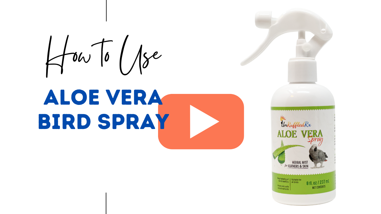Aloe Vera Bird Spray Instructions