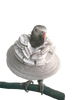 Fringy Cone Collar for birds – thick fleece neck support with stiff, protective flared cone