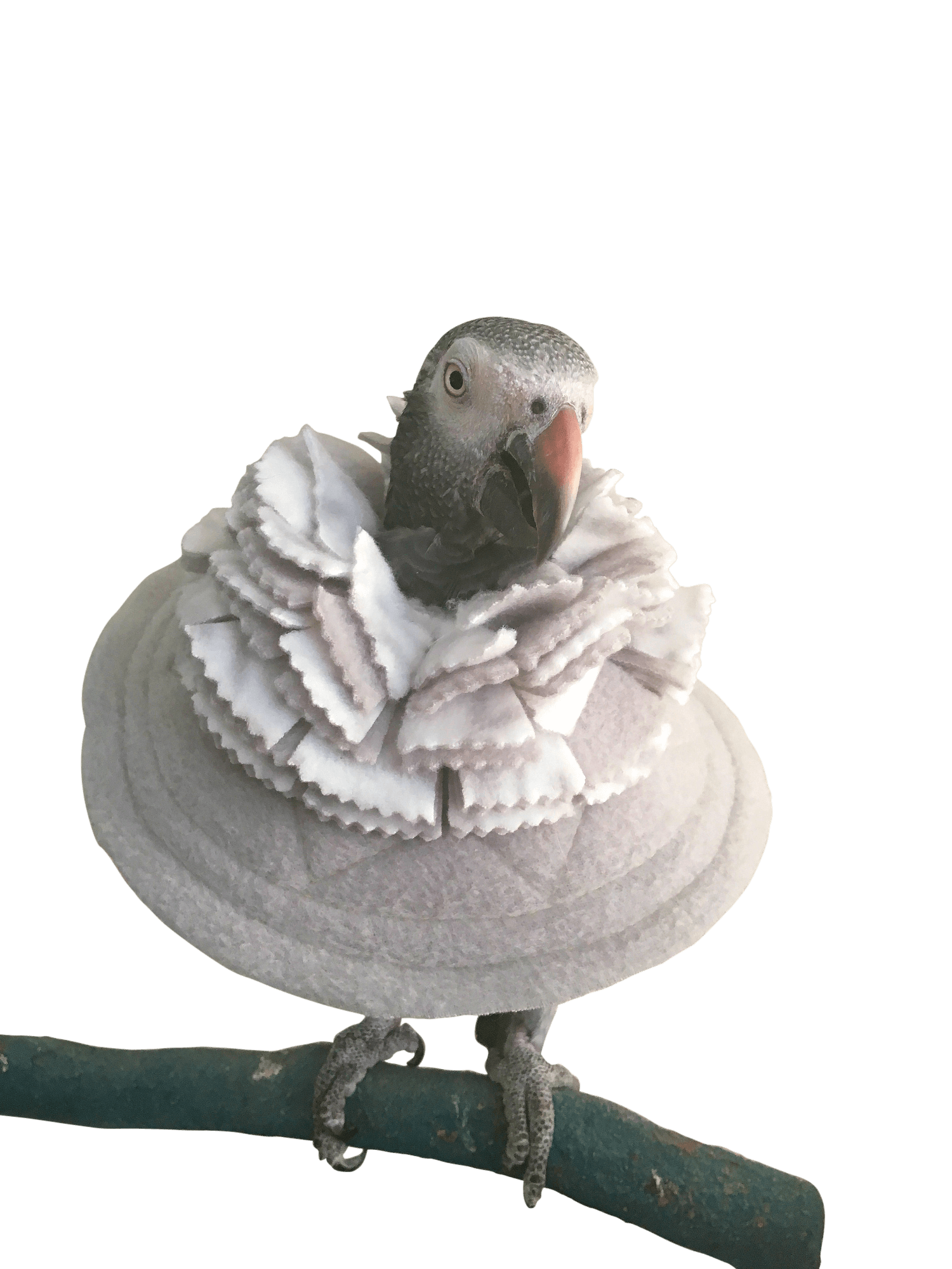Fringy Cone Collar for birds – thick fleece neck support with stiff, protective flared cone