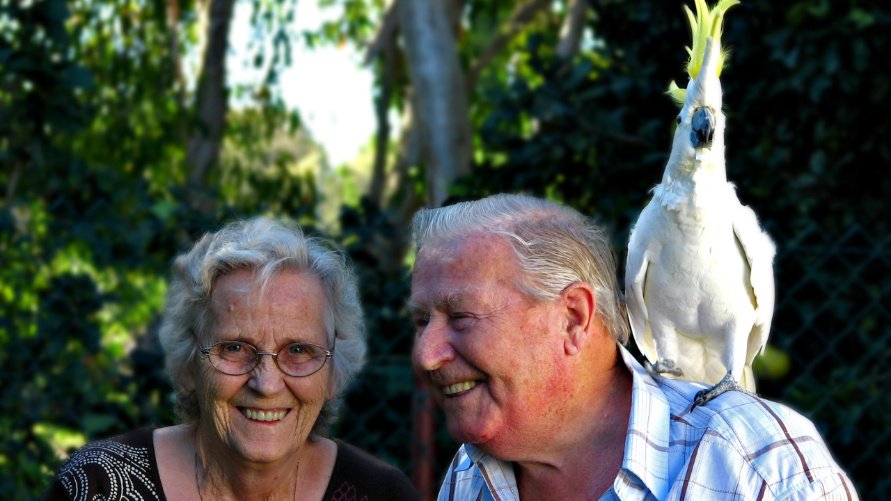 bird lover