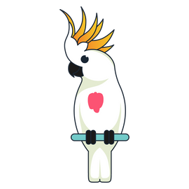 mild feather plucking bird