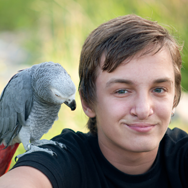 Parrot health and wellness