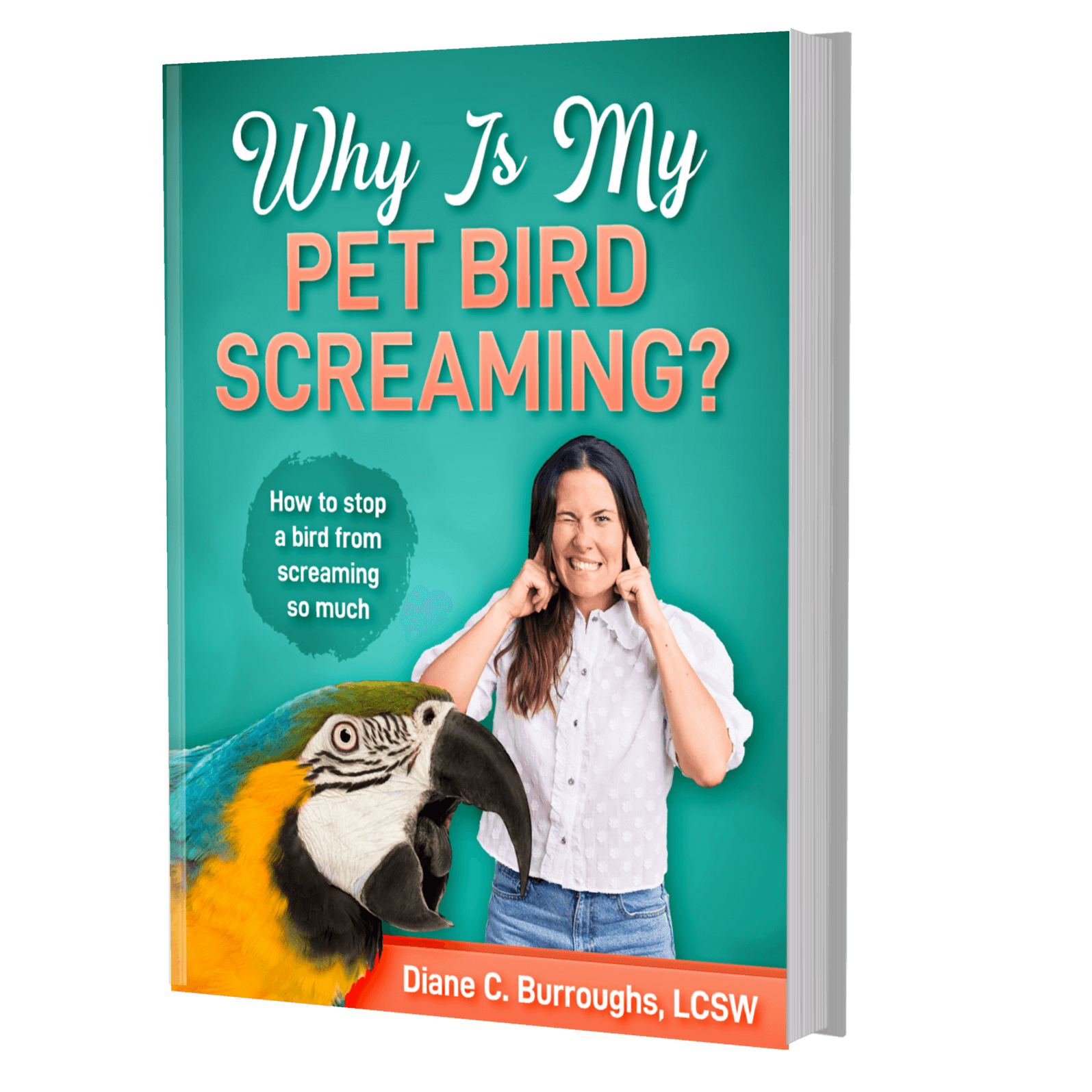 How to stop your bird from screaming using positive reinforcement training