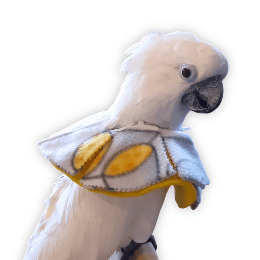 Velcro Closure Bird Collar