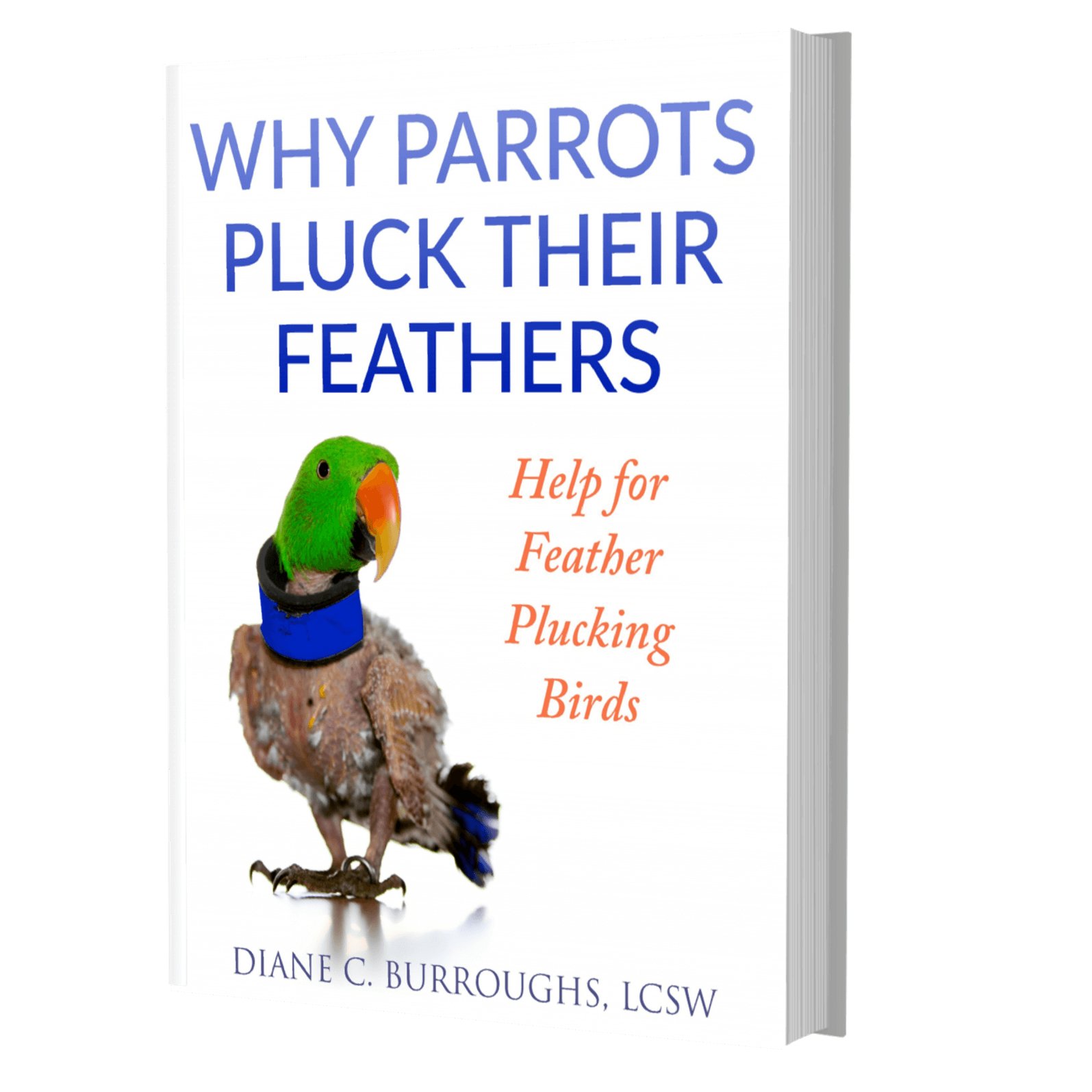 Why Parrots Pluck eBook – discover the causes and solutions for feather plucking, download now
